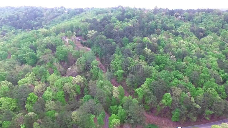 Voando sobre a floresta verde nos EUA, Alabama
