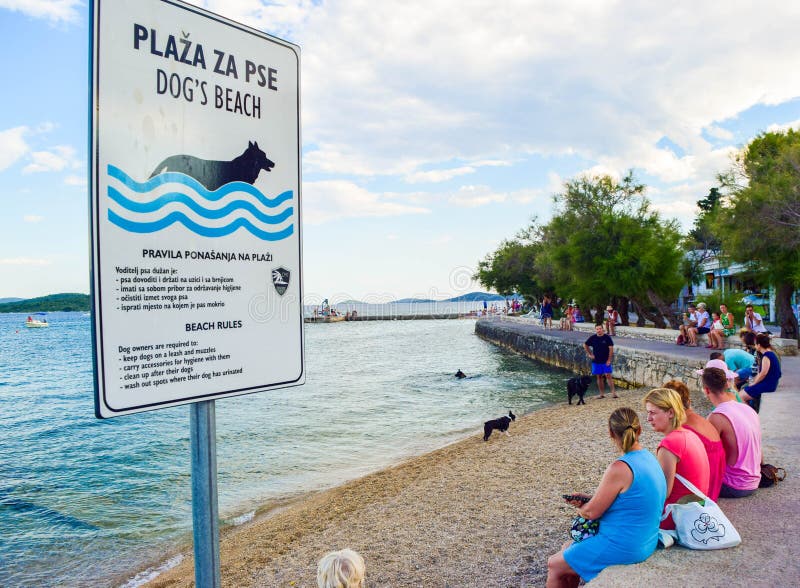 The dogs beach in Vodice, Croatia