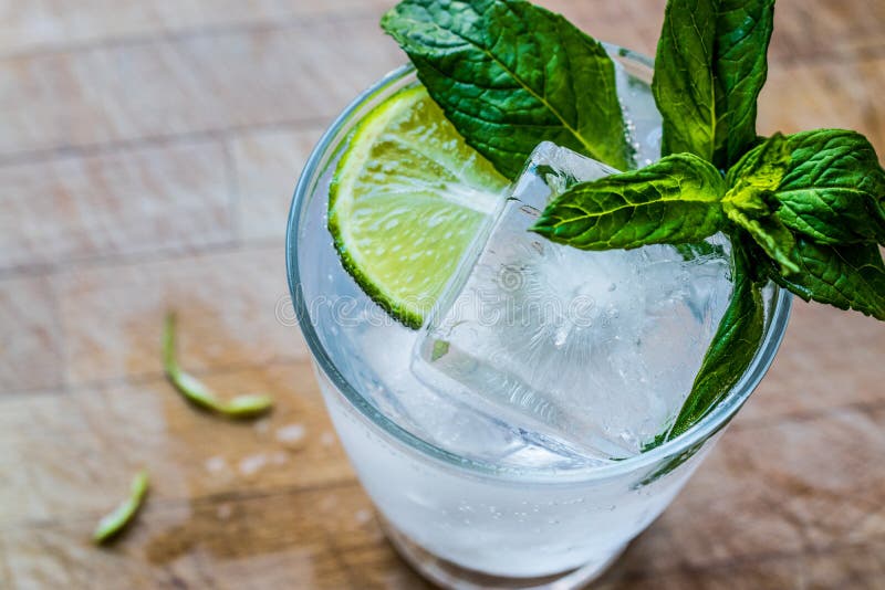 Vodka o Gin Tonic Cocktail con la cal, las hojas de menta y el hielo imagenes de archivo Vodka o Gin Tonic Cocktail con la cal, las hojas de menta y el hielo imagenes de archivo
