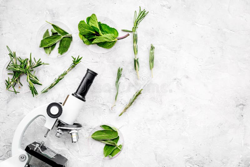 Voedselanalyse Pesticiden vrije groenten Kruidenrozemarijn, munt dichtbij microscoop op de grijze ruimte van het achtergrond hoog stock afbeelding Voedselanalyse Pesticiden vrije groenten Kruidenrozemarijn, munt dichtbij microscoop op de grijze ruimte van het achtergrond hoog stock afbeelding
