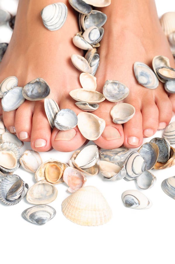 Voeten en overzeese shells, achtergrond stock fotografie Voeten en overzeese shells, achtergrond stock fotografie