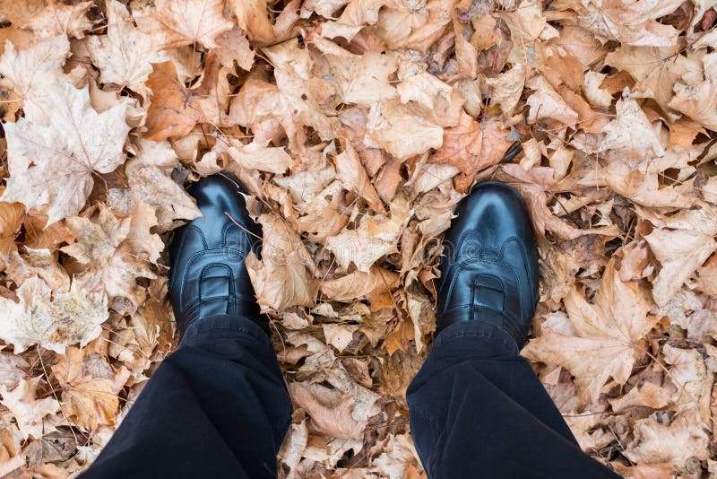 Voeten met schoenen op droge bladeren van een esdoornboom
