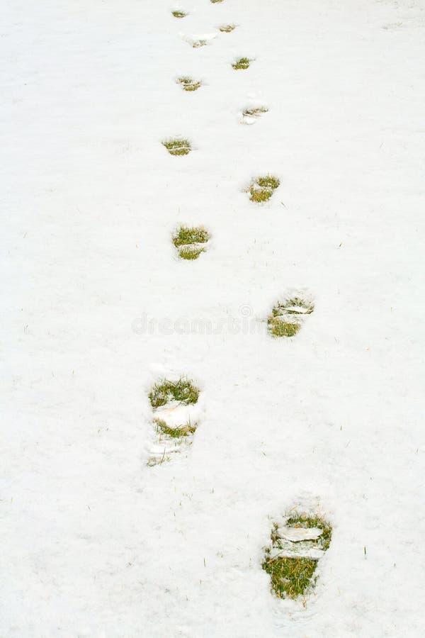 Voetstappen in sneeuw op groen geel gras Grond met verse sneeuw wordt behandeld en een druk van menselijke footrint die Sluit omh royalty-vrije stock foto Voetstappen in sneeuw op groen geel gras Grond met verse sneeuw wordt behandeld en een druk van menselijke footrint die Sluit omh royalty-vrije stock foto