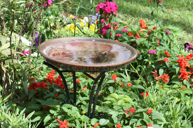 Bird bath sitting in front of an array of colorful flowers. Bird bath sitting in front of an array of colorful flowers.