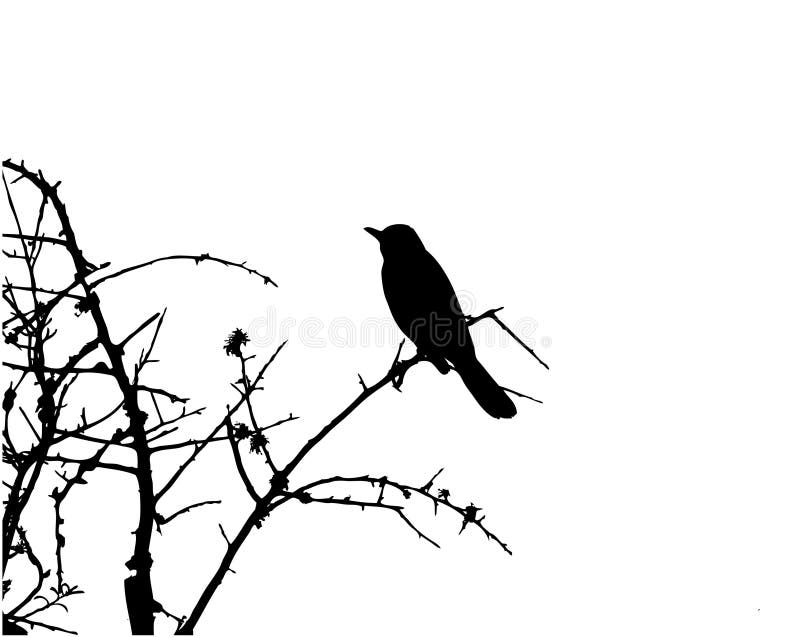 Vogel in de Vector van Sillhouette van de Boom vector illustratie Vogel in de Vector van Sillhouette van de Boom vector illustratie