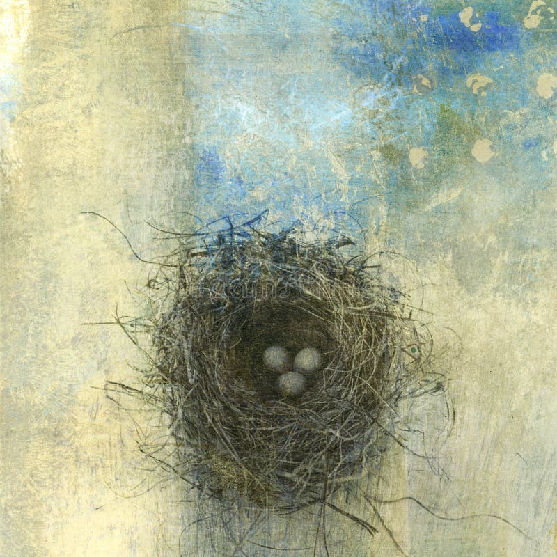 Vogel-Nest stock abbildung Vogel-Nest stock abbildung