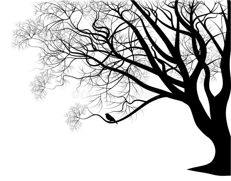 Vogel op een boomtak vector illustratie Vogel op een boomtak vector illustratie