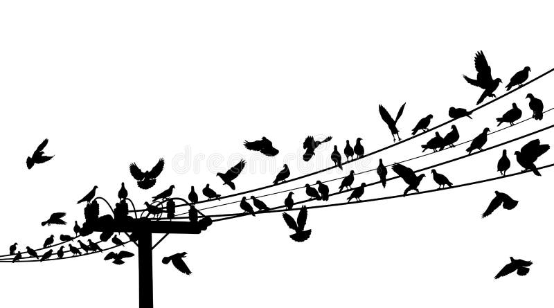 Vogel-Rastplatz lizenzfreie abbildung Vogel-Rastplatz lizenzfreie abbildung