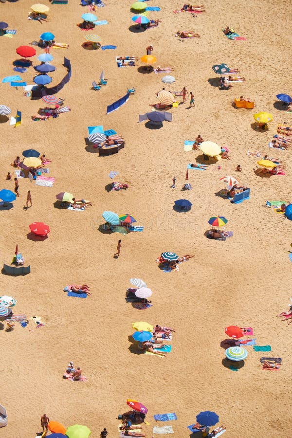 Vogel ` Saugenansicht über sandigen Strand Riviera Nazare auf der Küste von an stockfotos Vogel ` Saugenansicht über sandigen Strand Riviera Nazare auf der Küste von an stockfotos