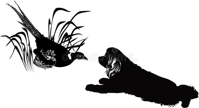 Vogelfasan und -hunde stock abbildung Vogelfasan und -hunde stock abbildung