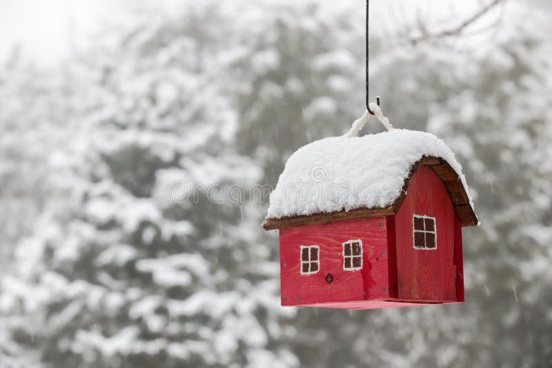 Vogelhaus Mit Schnee Im Winter Stockbild Bild von park, selbstgemacht