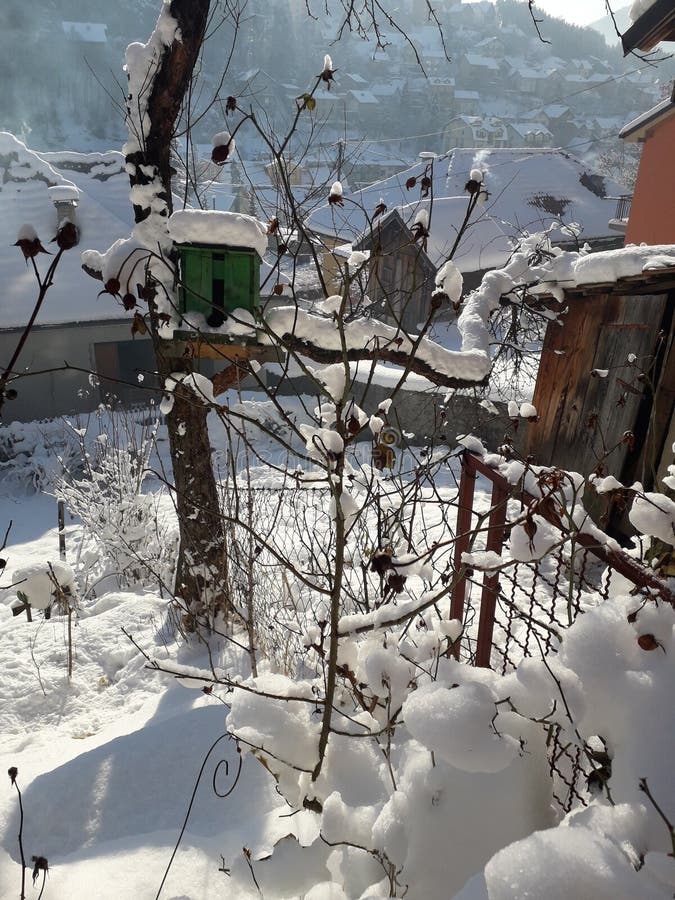 vogelhaus mit schnee und kleines holzhaus in meinem