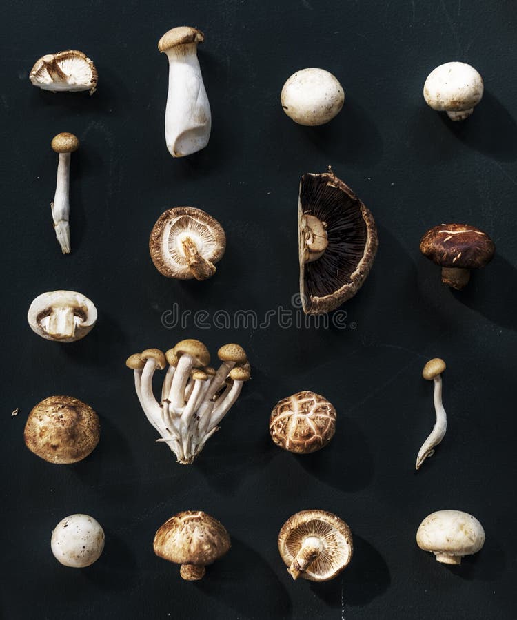 Vogelperspektive der verschiedenen Pilzsammlung schwarzen Hintergrundes stockfoto