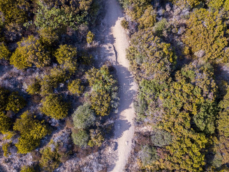 Vogelperspektive des Weges der Zollbeamten, der Vegetation und des Mittelmeerbusches, Korsika, Frankreich Sentier du Douanier