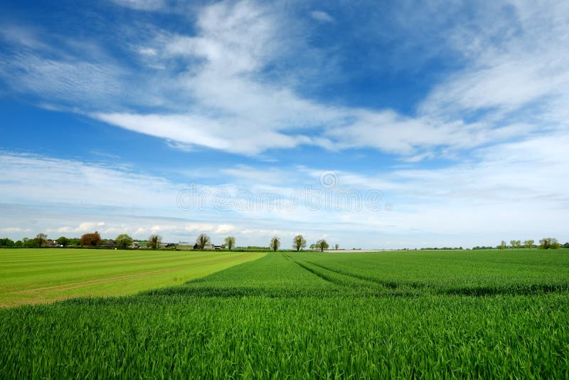Vogelperspektive von endlosen üppigen Weiden und von Ackerland von Irland Schöne irische Landschaft mit Smaragdgrünfeldern und -w lizenzfreies stockfoto Vogelperspektive von endlosen üppigen Weiden und von Ackerland von Irland Schöne irische Landschaft mit Smaragdgrünfeldern und -w lizenzfreies stockfoto