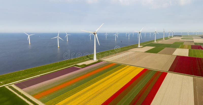 Vogelperspektive von Tulpenfeldern und von Windkraftanlagen im Noordoostpolder-Stadtbezirk, Flevoland stockbild Vogelperspektive von Tulpenfeldern und von Windkraftanlagen im Noordoostpolder-Stadtbezirk, Flevoland stockbild