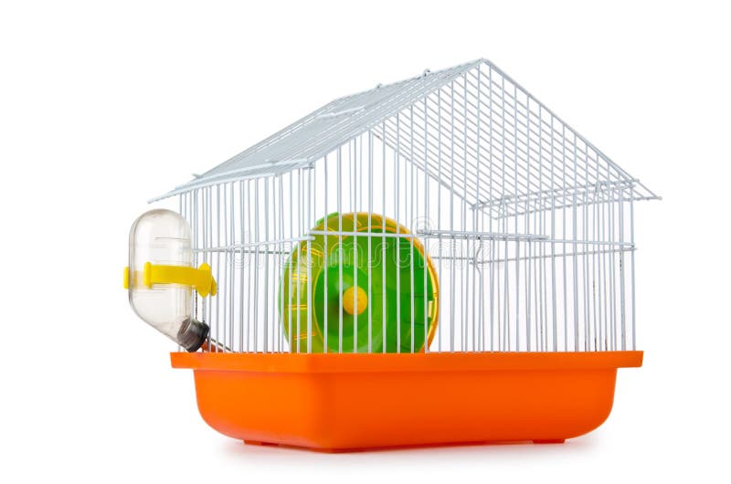 Vogelrahmen auf dem Weiß stockbild Vogelrahmen auf dem Weiß stockbild