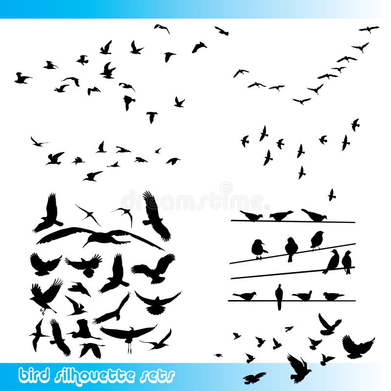 Vogelschattenbilder eingestellt lizenzfreie abbildung Vogelschattenbilder eingestellt lizenzfreie abbildung