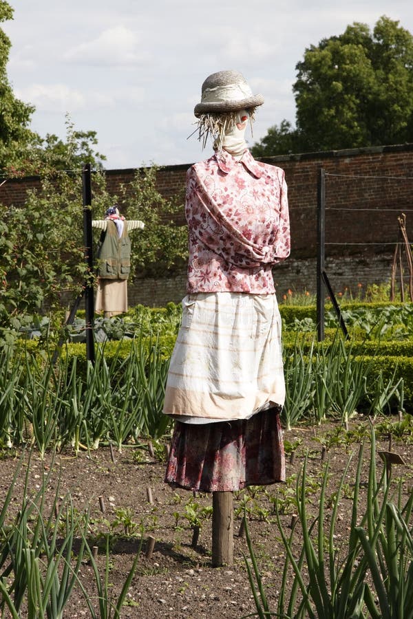 Vogelscheuche Im Avegetable Garten Stockfoto Bild von