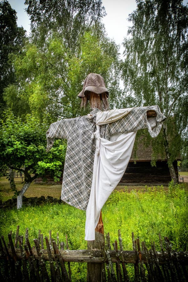 GartenVogelscheuche stockfoto. Bild von garten, sommer 26633172