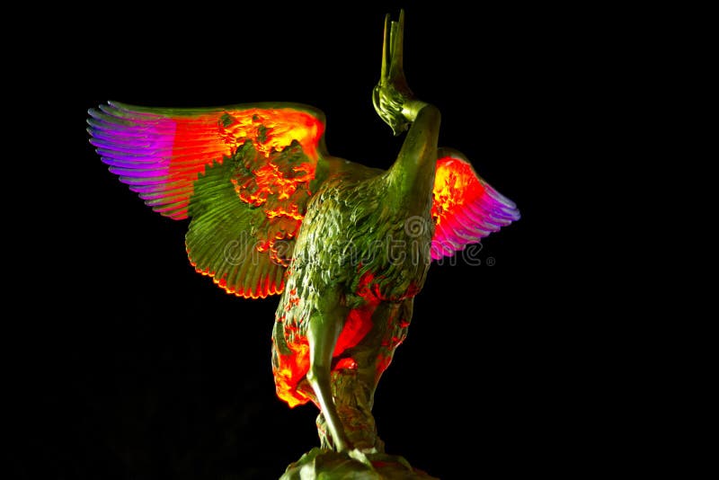 Vogelbeeld royalty-vrije stock foto