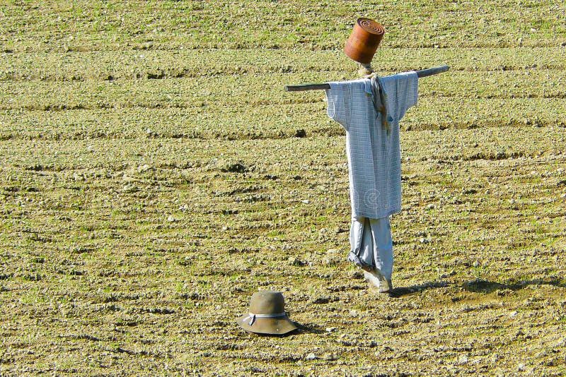 Vogelverschrikker met kleding en hoed royalty-vrije stock foto's Vogelverschrikker met kleding en hoed royalty-vrije stock foto's