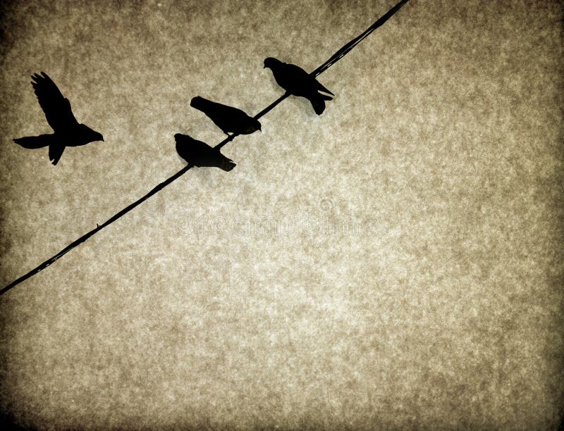 Vogelweinlese-Hintergrundbeschaffenheit lizenzfreies stockfoto Vogelweinlese-Hintergrundbeschaffenheit lizenzfreies stockfoto