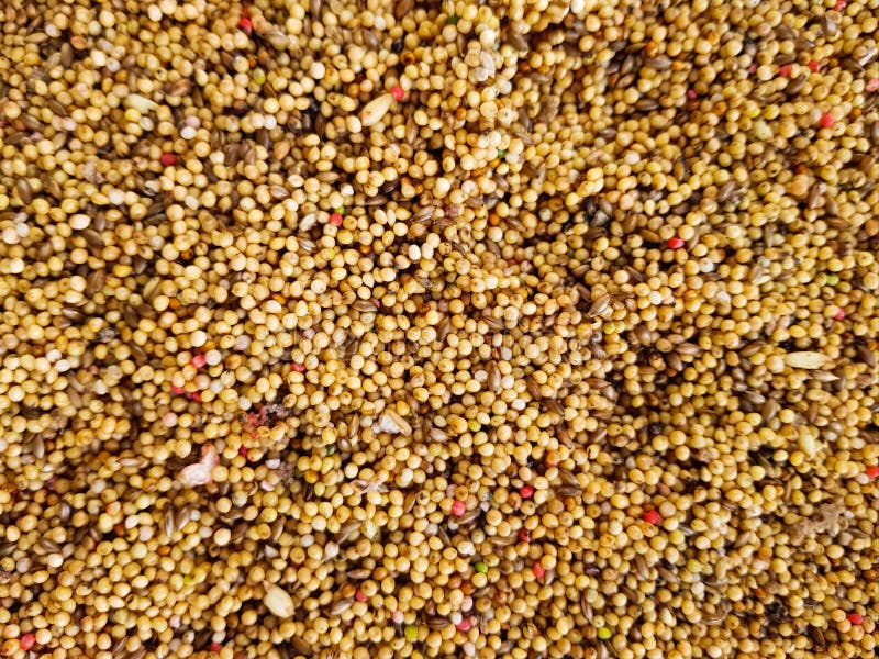 Vogelzaad met verschillende kleurrijke zaden Achtergrond met vogelzaad stock afbeeldingen Vogelzaad met verschillende kleurrijke zaden Achtergrond met vogelzaad stock afbeeldingen
