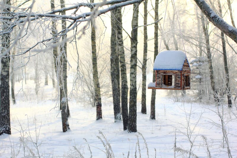 Vogelzufuhr im Winterwald stockfotos Vogelzufuhr im Winterwald stockfotos