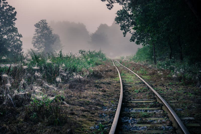 Voie de chemin de fer de mesure étroite dans la région de Lublin image libre de droits Voie de chemin de fer de mesure étroite dans la région de Lublin image libre de droits