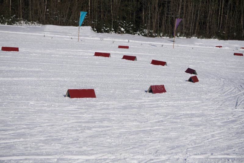 Voie nordique de ski pour le classique en bel hiver régional - photo active de sport avec l'espace pour votre montage photographie stock Voie nordique de ski pour le classique en bel hiver régional - photo active de sport avec l'espace pour votre montage photographie stock