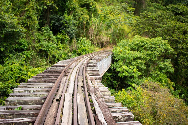 Voies abandonnées de train dans la jungle colombienne photographie stock libre de droits Voies abandonnées de train dans la jungle colombienne photographie stock libre de droits
