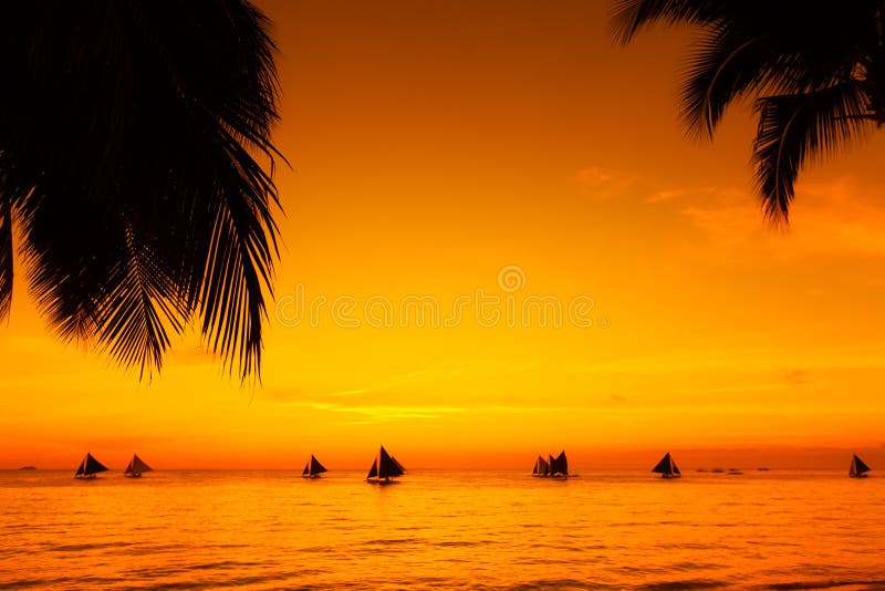 Voiliers au coucher du soleil sur une mer tropicale Paumes sur la plage Silho photo libre de droits Voiliers au coucher du soleil sur une mer tropicale Paumes sur la plage Silho photo libre de droits