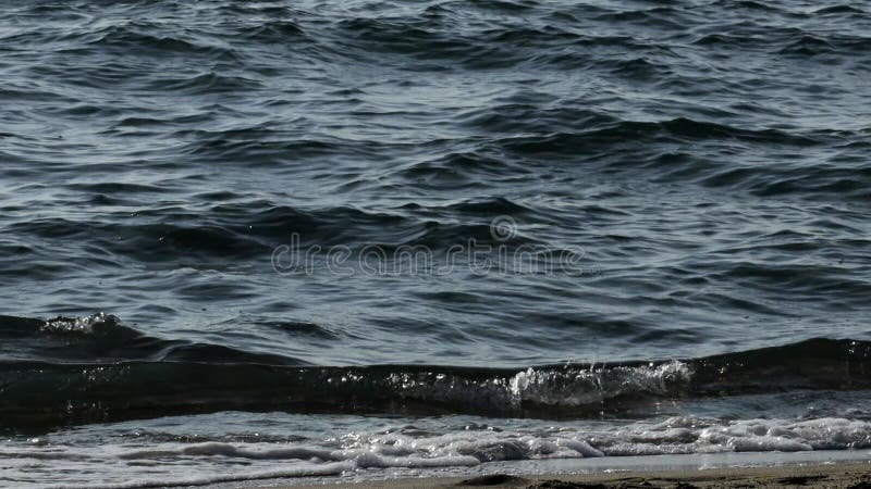 Voir les vagues qui arrivent sur un rivage sablonneux par un beau temps clips vidéos