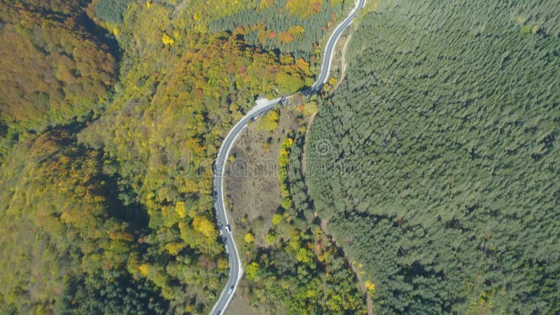 Voitures conduisant sur la belle route panoramique dans la forêt d'automne, vue aérienne depuis le drone Concept de fond de voyag banque de vidéos