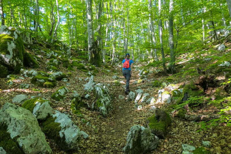 Eine Frau klein Rucksack tourismus durch überschwänglich Wald k, Gipfel Kroatien.