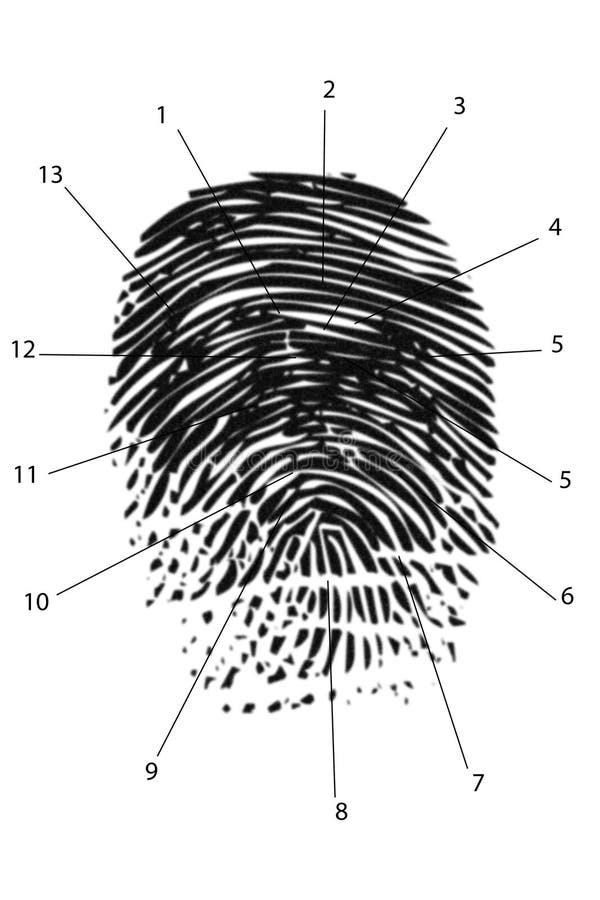 Mock up of a state police finger print record. Mock up of a state police finger print record