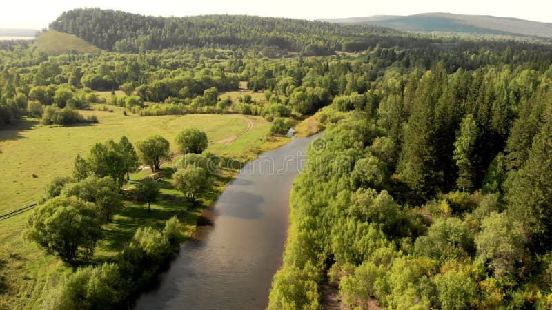 Vol aérien du drone au-dessus de forêts et de navigation champ de rivière de montagne. clips vidéos