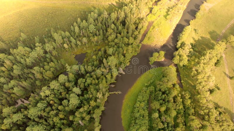 Vol aérien du drone au-dessus de route de campagne du pré de la rivière courbe et de forêt dense. banque de vidéos