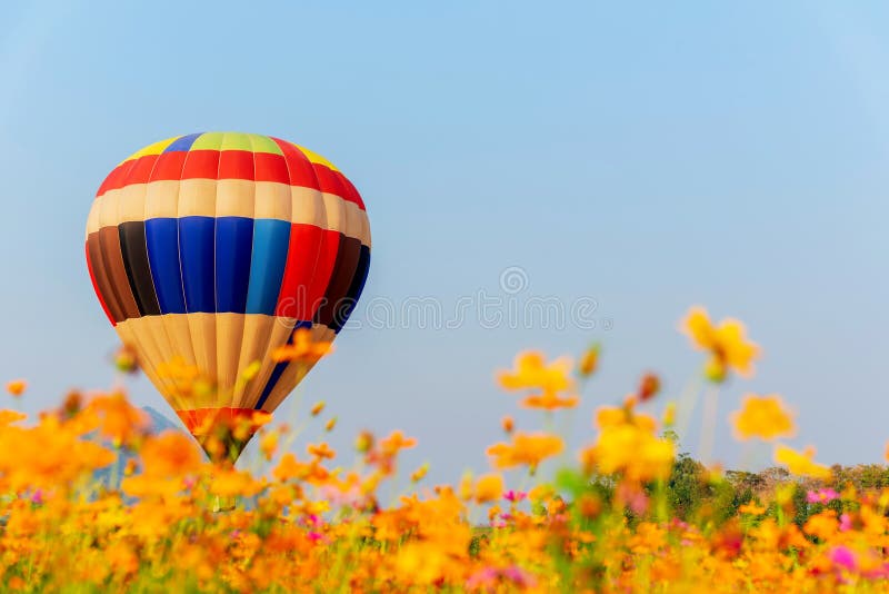 Ballon à Air Chaud Coloré Volant Dans Le Parc Naturel Et Le Jardin