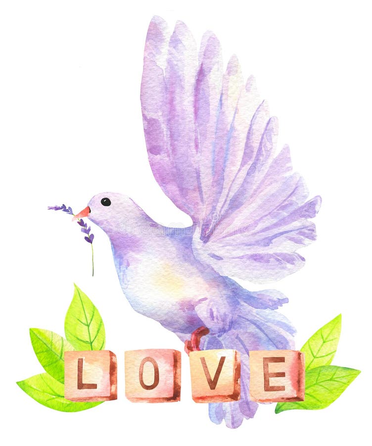Vol D Oiseau Violet Aquarelle De Colombe Avec Des Lettres D Amour De Fleurs Et Des Feuilles Vertes Isolee Sur Le Blanc Mariage Pe Illustration Stock Illustration Du Conception Liberte