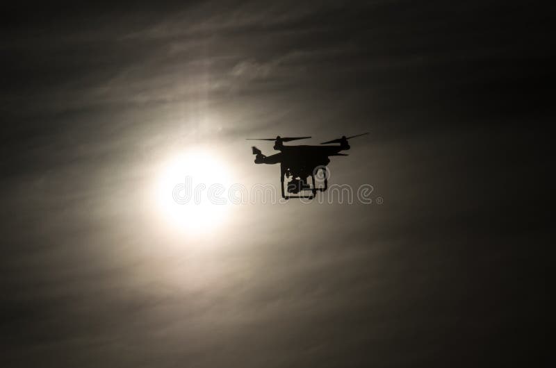 Vol de bourdon dans le soleil images stock Vol de bourdon dans le soleil images stock
