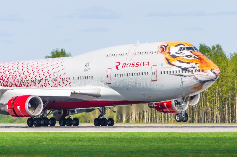 Boeing 747 Rossiya airlines Tiger flight, airport Pulkovo, Russia Saint-Petersburg May 2017. Boeing 747 Rossiya airlines Tiger flight, airport Pulkovo, Russia Saint-Petersburg May 2017