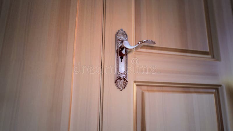 Vol en trou de serrure illustration libre de droits