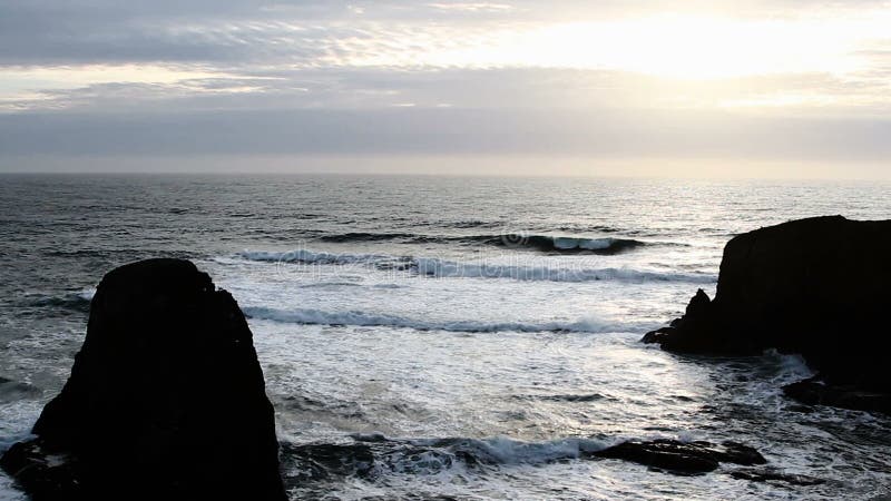 Volata dei gabbiani delle onde di oceano e di sera della riva