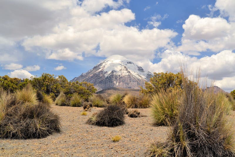 Volcan en parc national Sajama, les Andes, Bolivie image stock Volcan en parc national Sajama, les Andes, Bolivie image stock