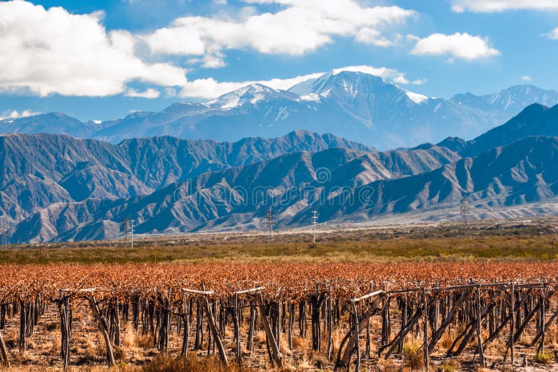 Volcano Aconcagua et vignoble, province argentine de Mendoza photo stock Volcano Aconcagua et vignoble, province argentine de Mendoza photo stock