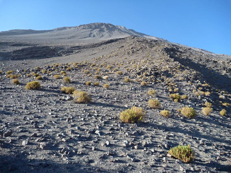 Volcano El Misti ovanför arwquipa royaltyfri fotografi Volcano El Misti ovanför arwquipa royaltyfri fotografi