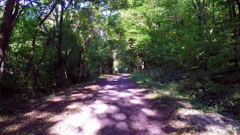 Voler au-dessus d'un chemin par les bois