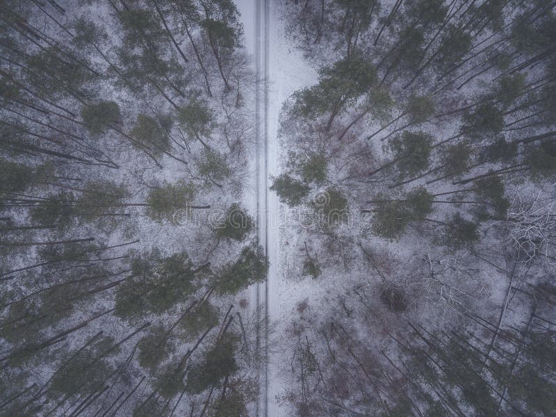 Volez avec le bourdon au-dessus des contes d'hiver avec la neige photos stock Volez avec le bourdon au-dessus des contes d'hiver avec la neige photos stock